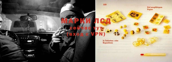 крисы Алексин