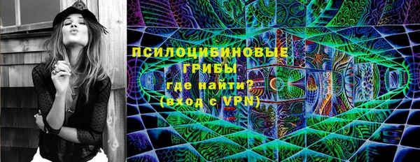 крисы Алексин
