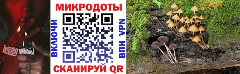 Псилоцибиновые грибы Cubensis  Брянск 